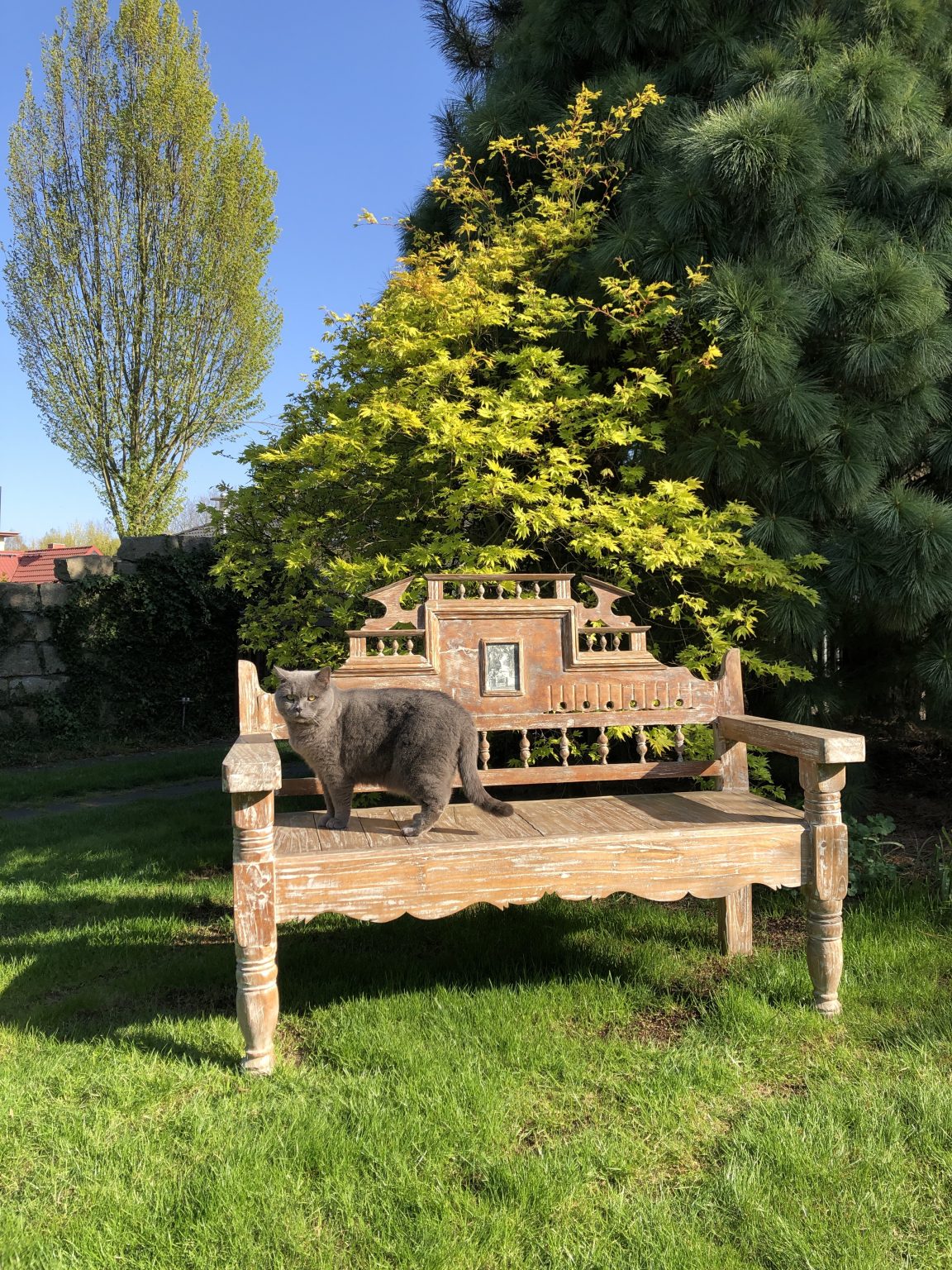 Kundenbild Dari Asia antike Bank im Garten